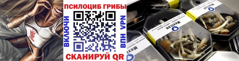 Псилоцибиновые грибы Psilocybine cubensis Купить закладки Пучеж