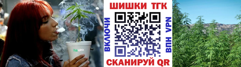 Купить где  Пучеж  Бошки Шишки тримм 